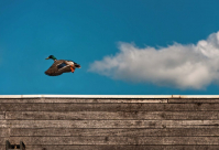 ExTox ist Projektpartner im Vorhaben "Funktionale ultradünne Werkstoffe durch ALD für die nächste Generation der Nanosystemtechnik" ExTox ist Projektpartner im Vorhaben "Funktionale ultradünne Werkstoffe durch ALD für die nächste Generation der Nanosystemtechnik"